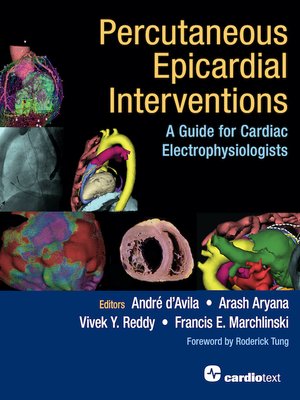 cover image of Percutaneous Epicardial Interventions